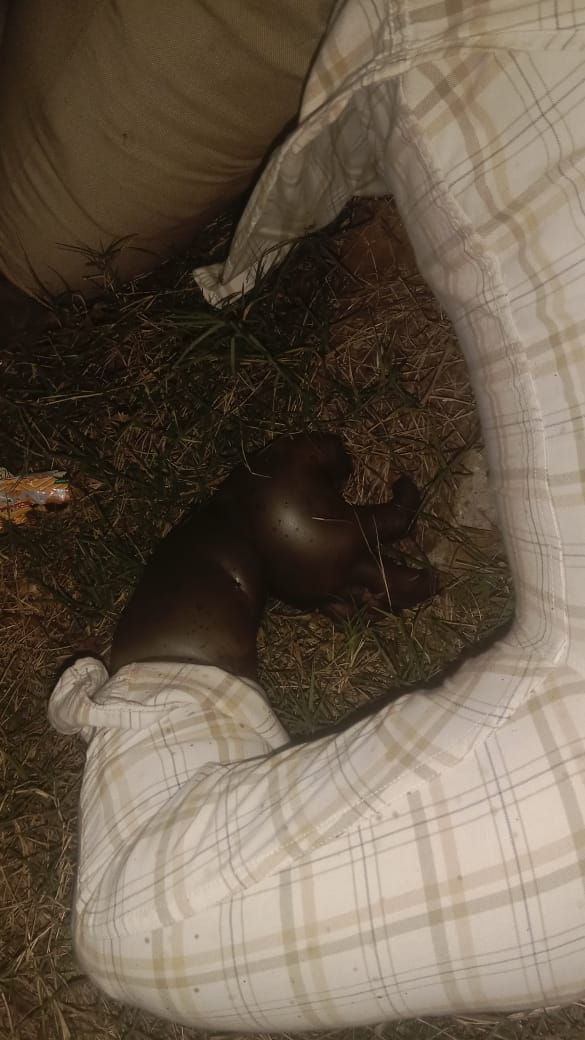 WhatsApp Image 2026-02-18 at 5.09.11 PM