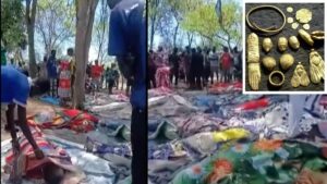 86d5c8f0-18c2-57dd-b631-adb77e4144b2