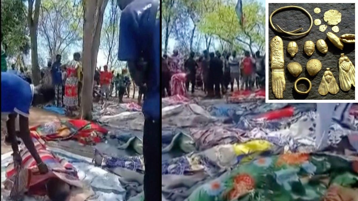 86d5c8f0-18c2-57dd-b631-adb77e4144b2