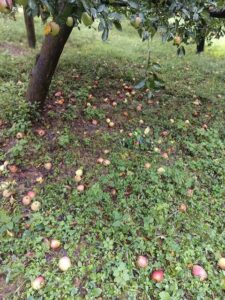 images (2)
