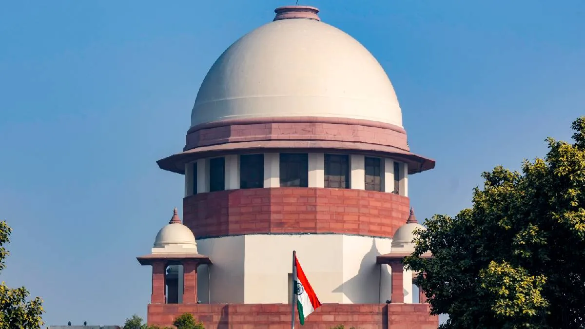 sc-1781593381 (1)